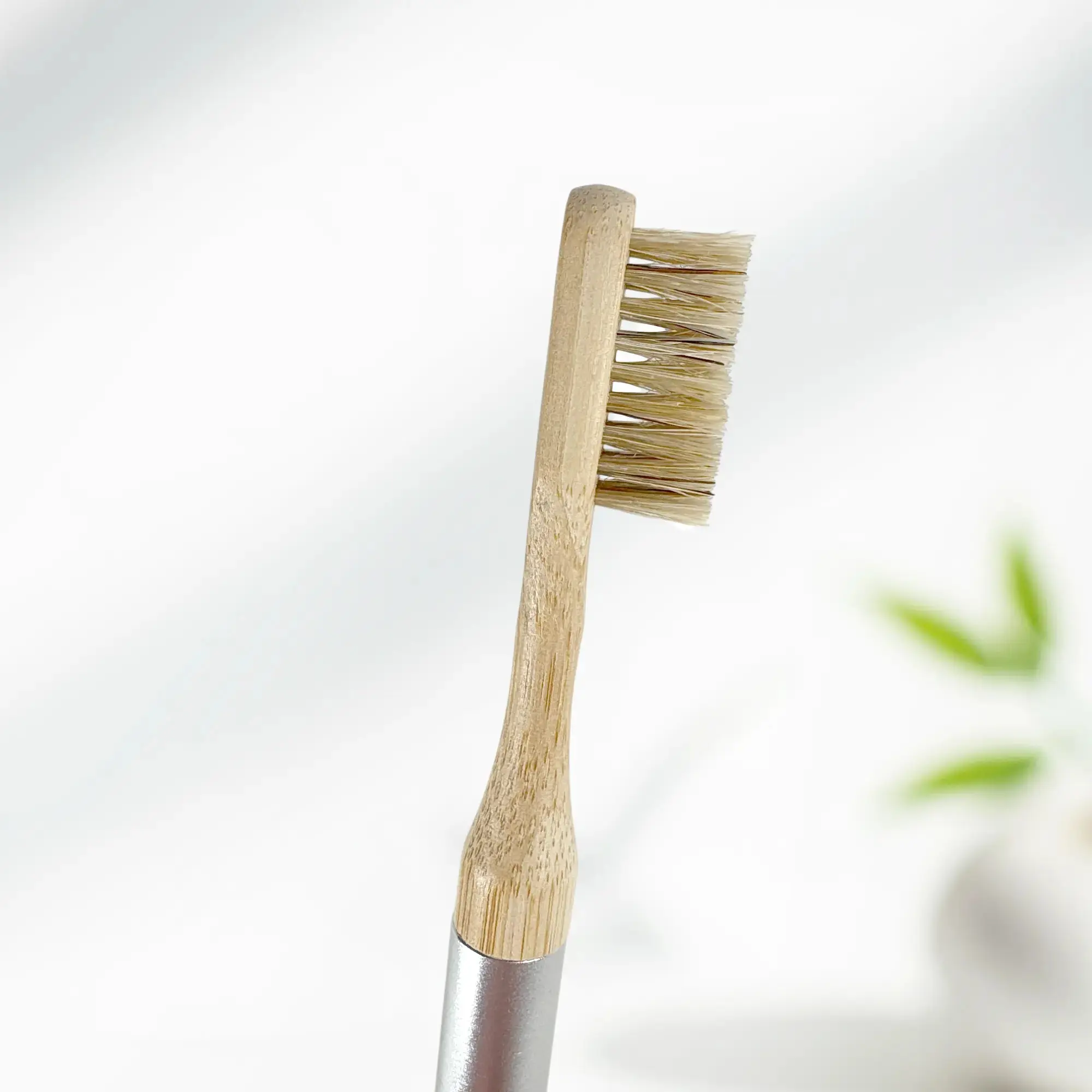 Boars Hair Toothbrush Heads - Image 6
