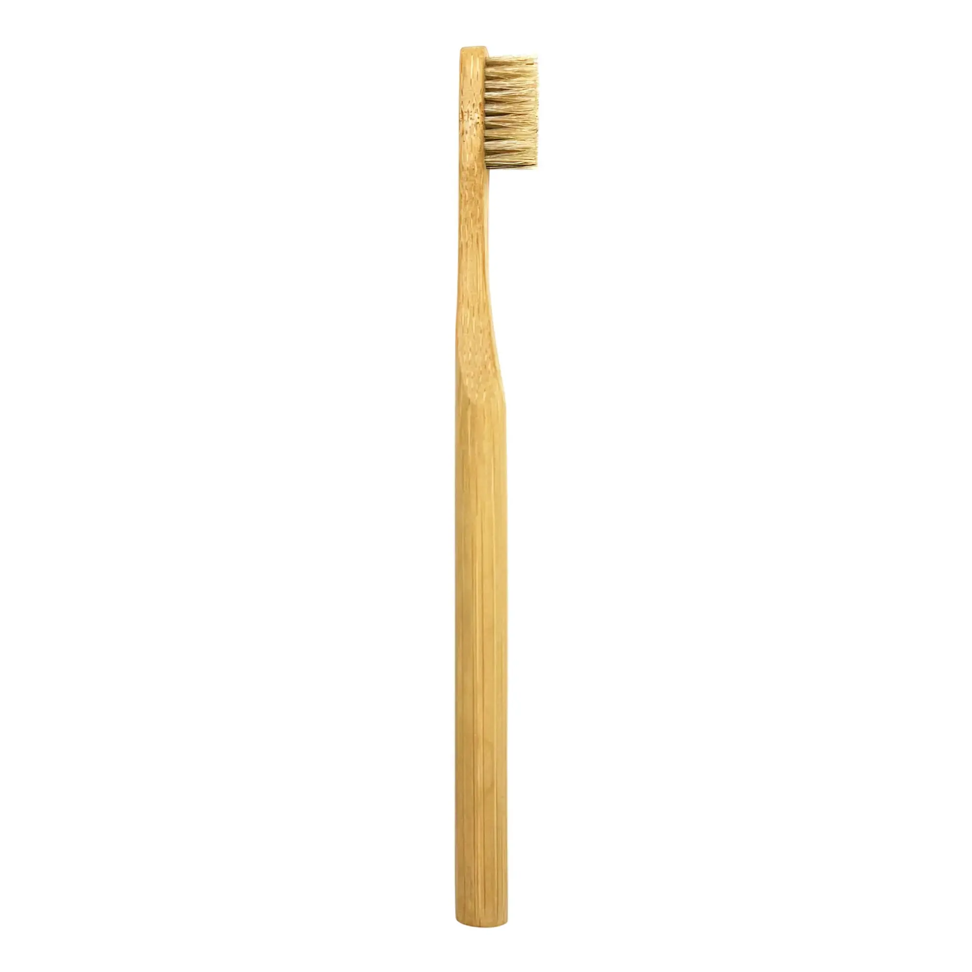 Oral Care Bundle - Image 9