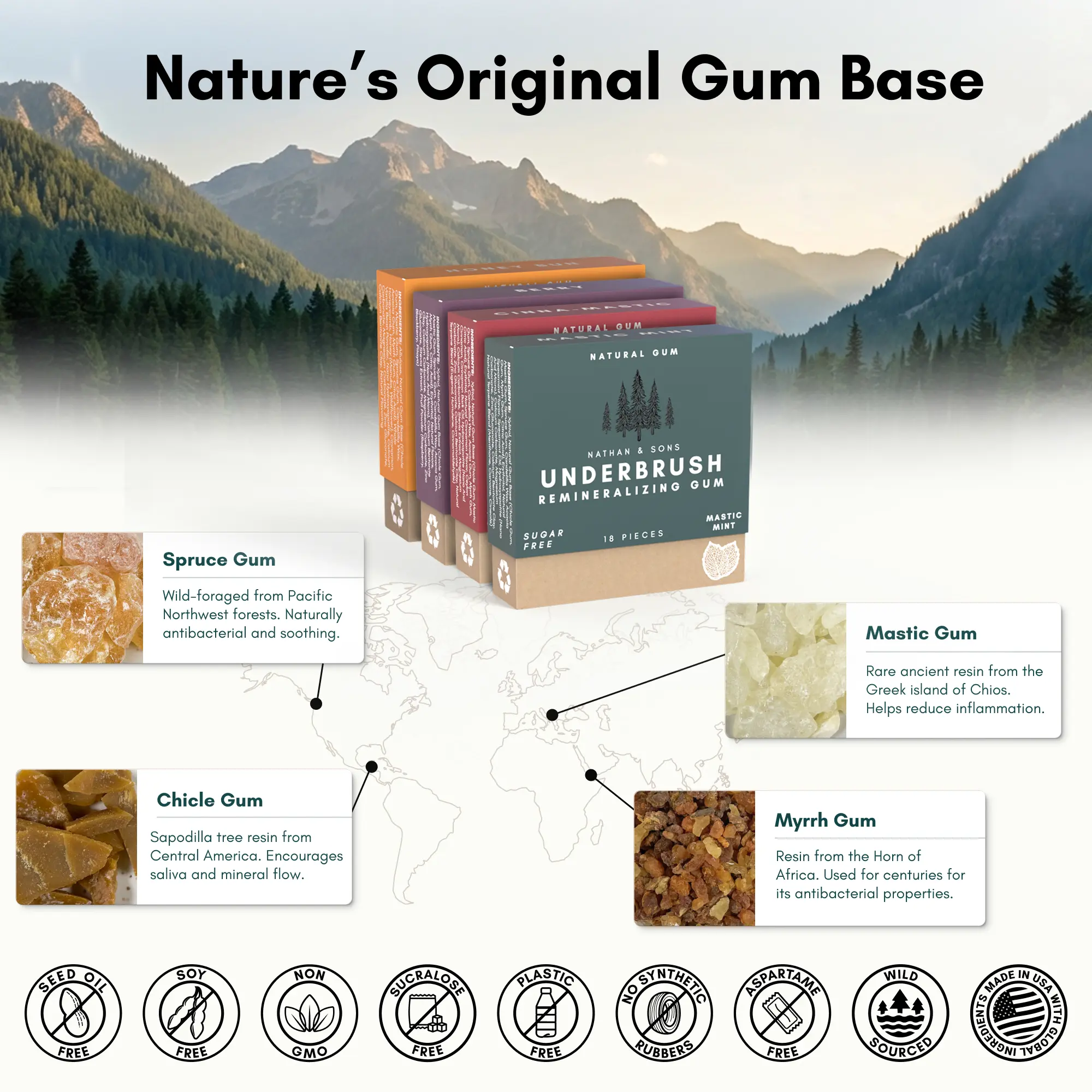 Remineralizing Gum - Image 5